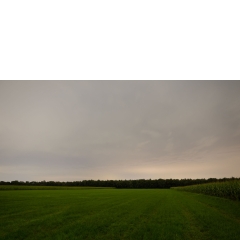 Atropine #044 Atropine #044