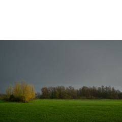 Atropine #045 Atropine #045