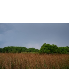 Atropine #046 Atropine #046