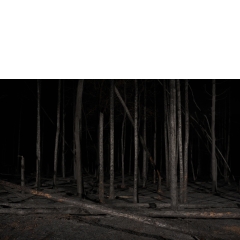 Proto #099 Proto #099