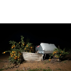 Proto #101 Proto #101