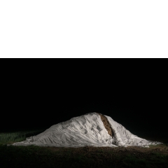 Proto #104 Proto #104