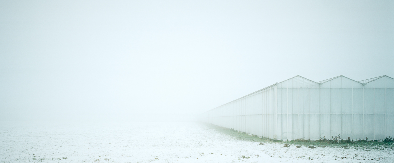 Sneeuw en mist, Geertruidenberg, 2009