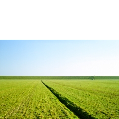 Polder, West-Terschelling, 2002