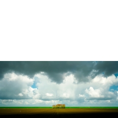 Hedwigepolder, 11:10, 2012 Hedwigepolder, 11:10, 2012
