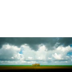 Hedwigepolder, 11:10, 2012