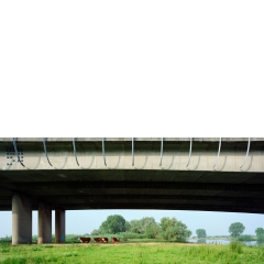 Uiterwaarden, Hedel, 2009 Uiterwaarden, Hedel, 2009