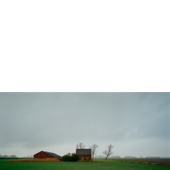 Vogelwaarde, 15:20, 2009 Vogelwaarde, 15:20, 2009