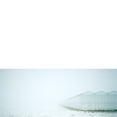 Sneeuw en mist, Geertruidenberg, 2009 Sneeuw en mist, Geertruidenberg, 2009