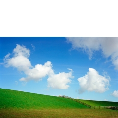 Dijk, Holwerd, 2006 Dijk, Holwerd, 2006