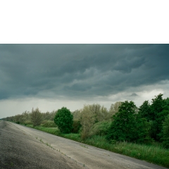 Dijk, Ooltgensplaat, 2008 Dijk, Ooltgensplaat, 2008