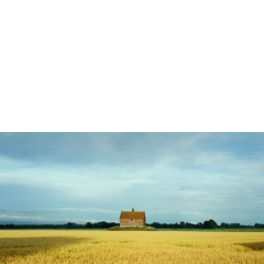 Griendkeet, Biesbosch, 2010