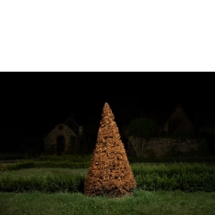 Proto #084 Proto #084